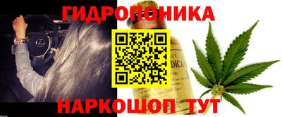 мдпв Гагарин