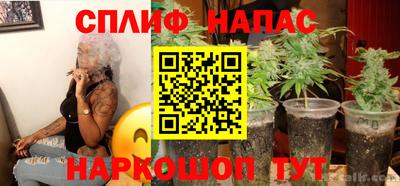 мдпв Гагарин