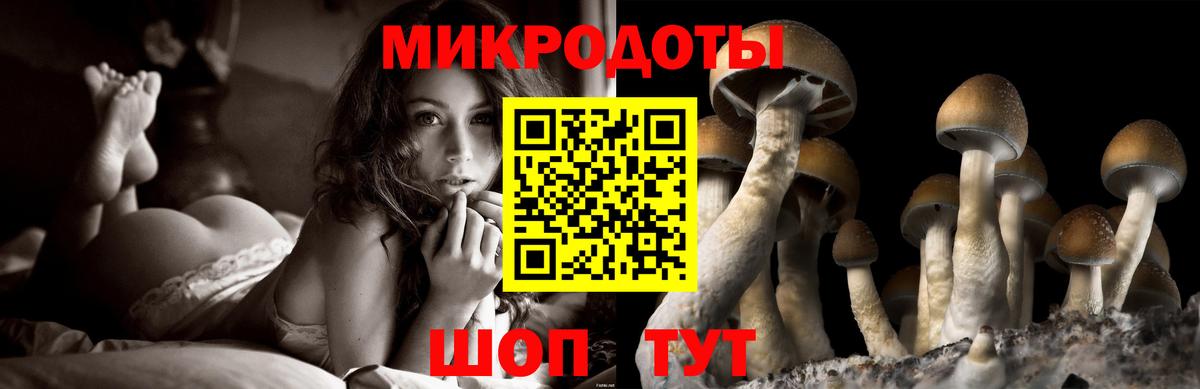 Псилоцибиновые грибы мухоморы Новороссийск